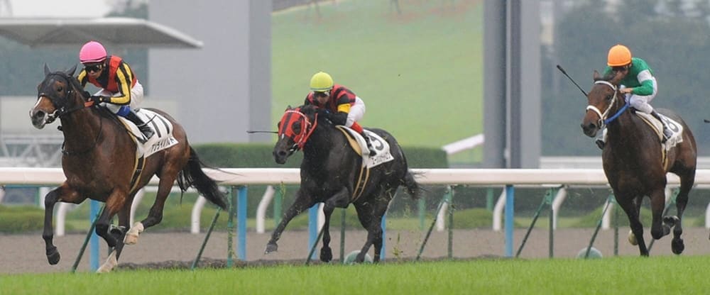 波平 新馬戦