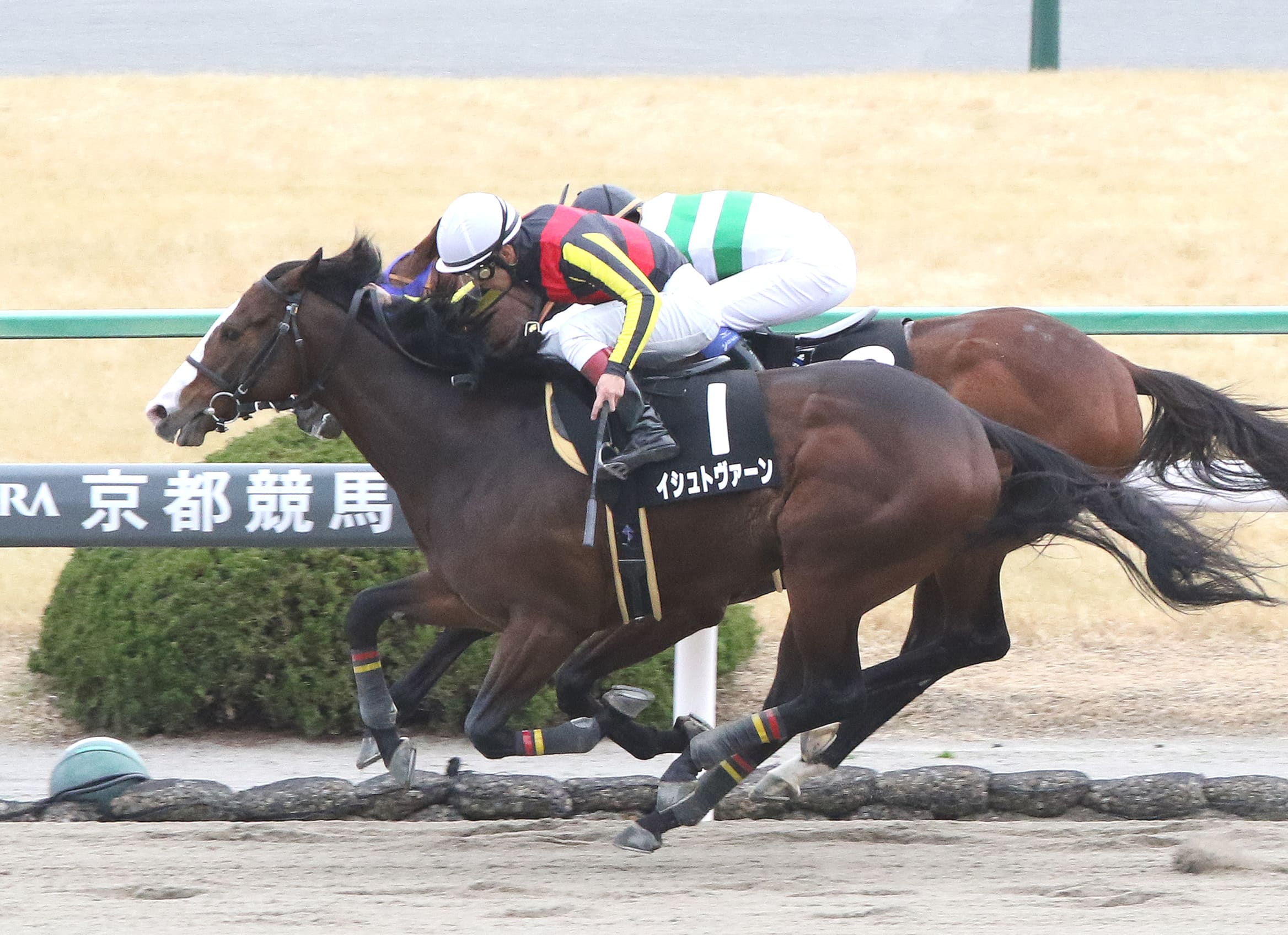 競馬 悔しい負け方