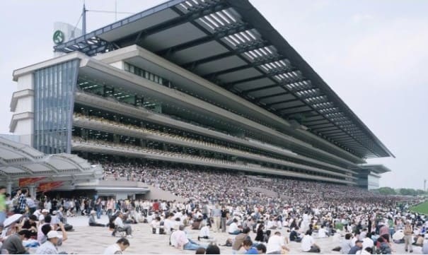 東京競馬場