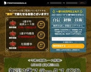 プロフェッショナルズ