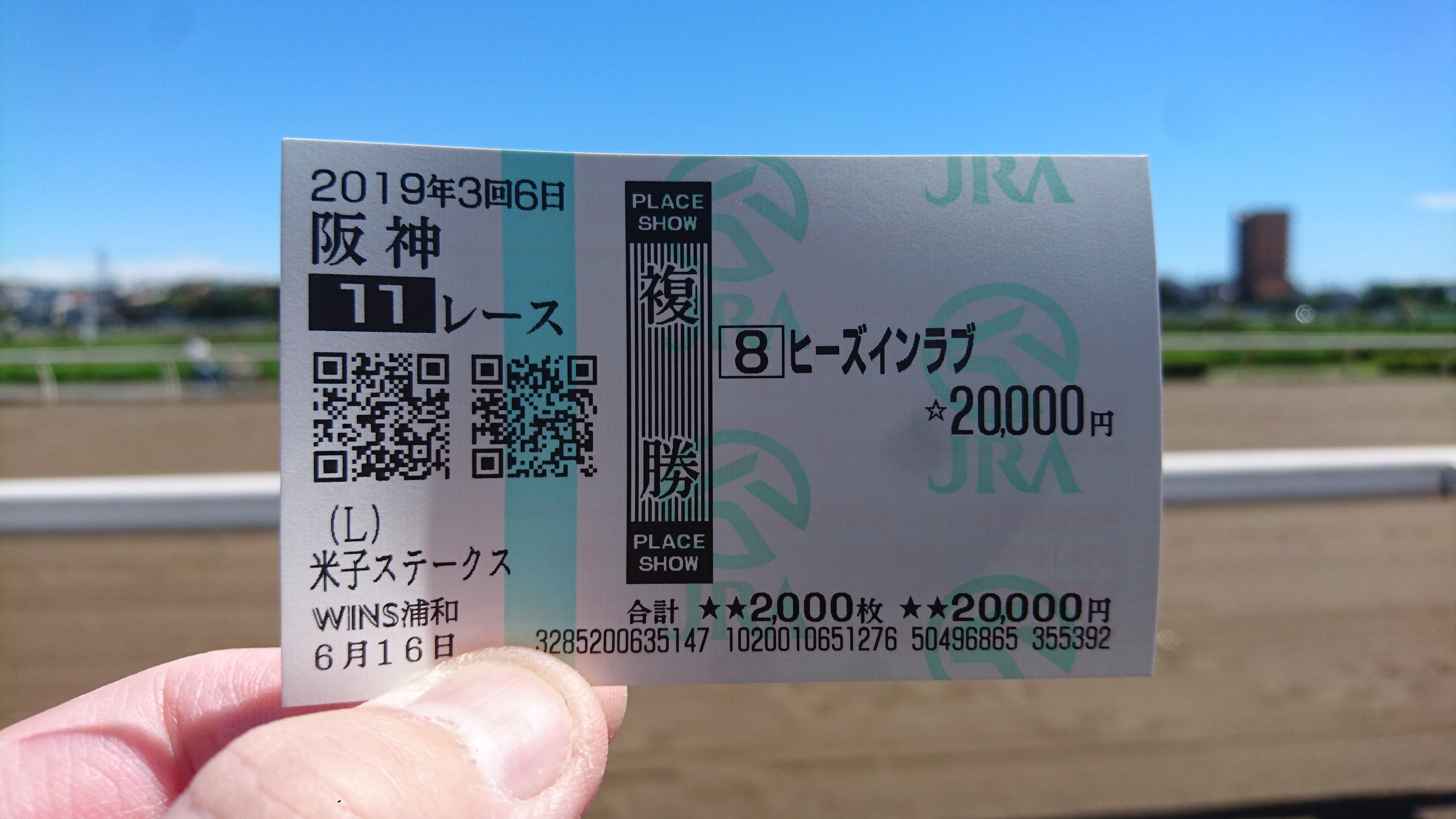 阪神競馬 複勝