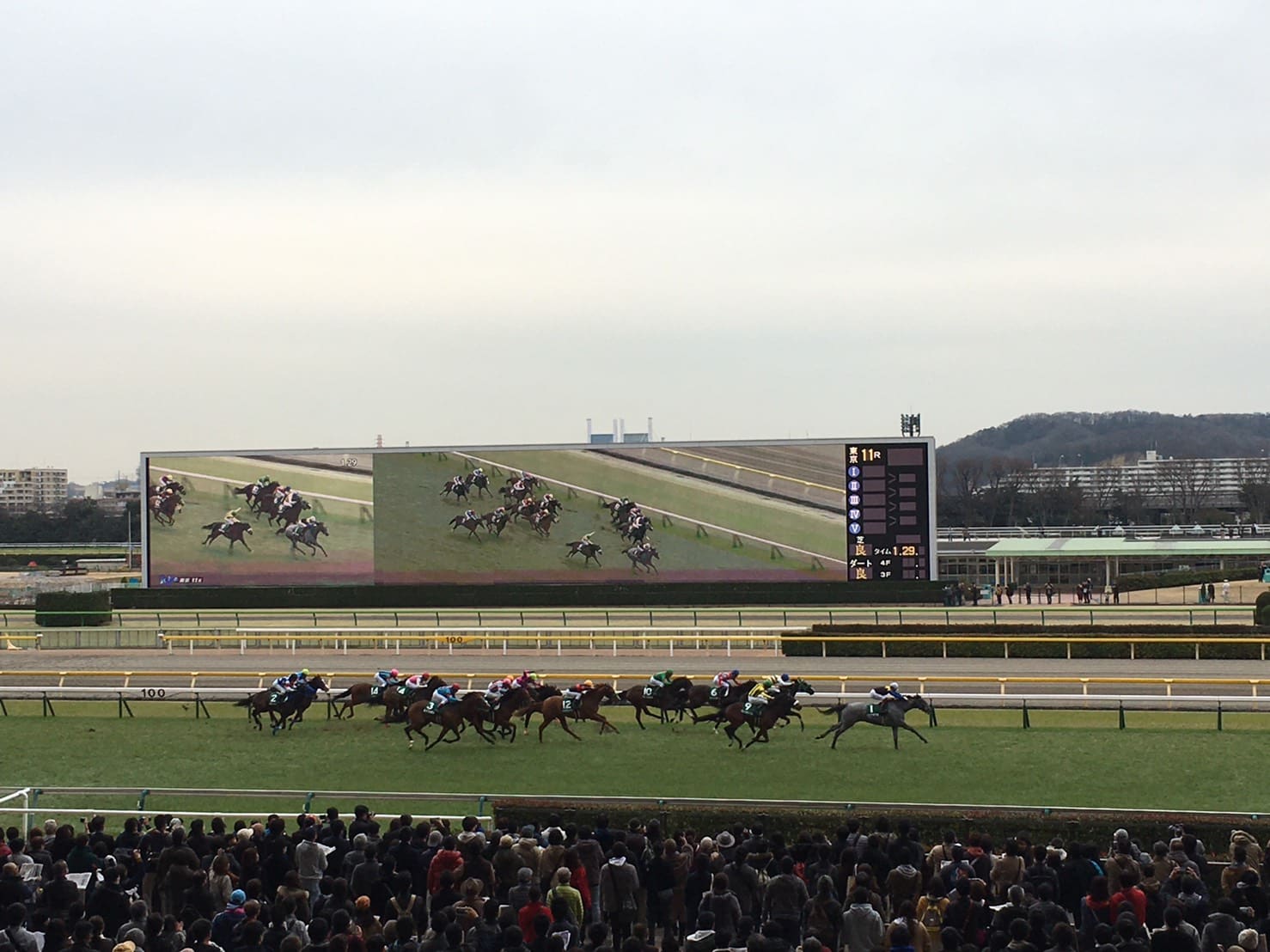 競馬 コース