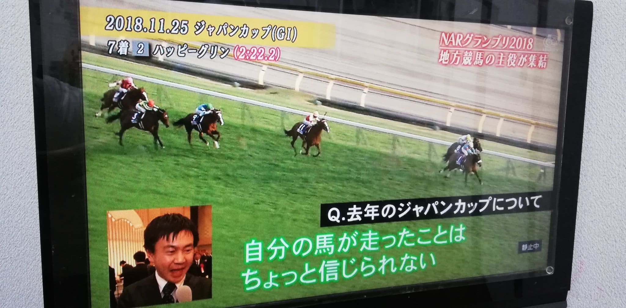 競馬展望プラス TV