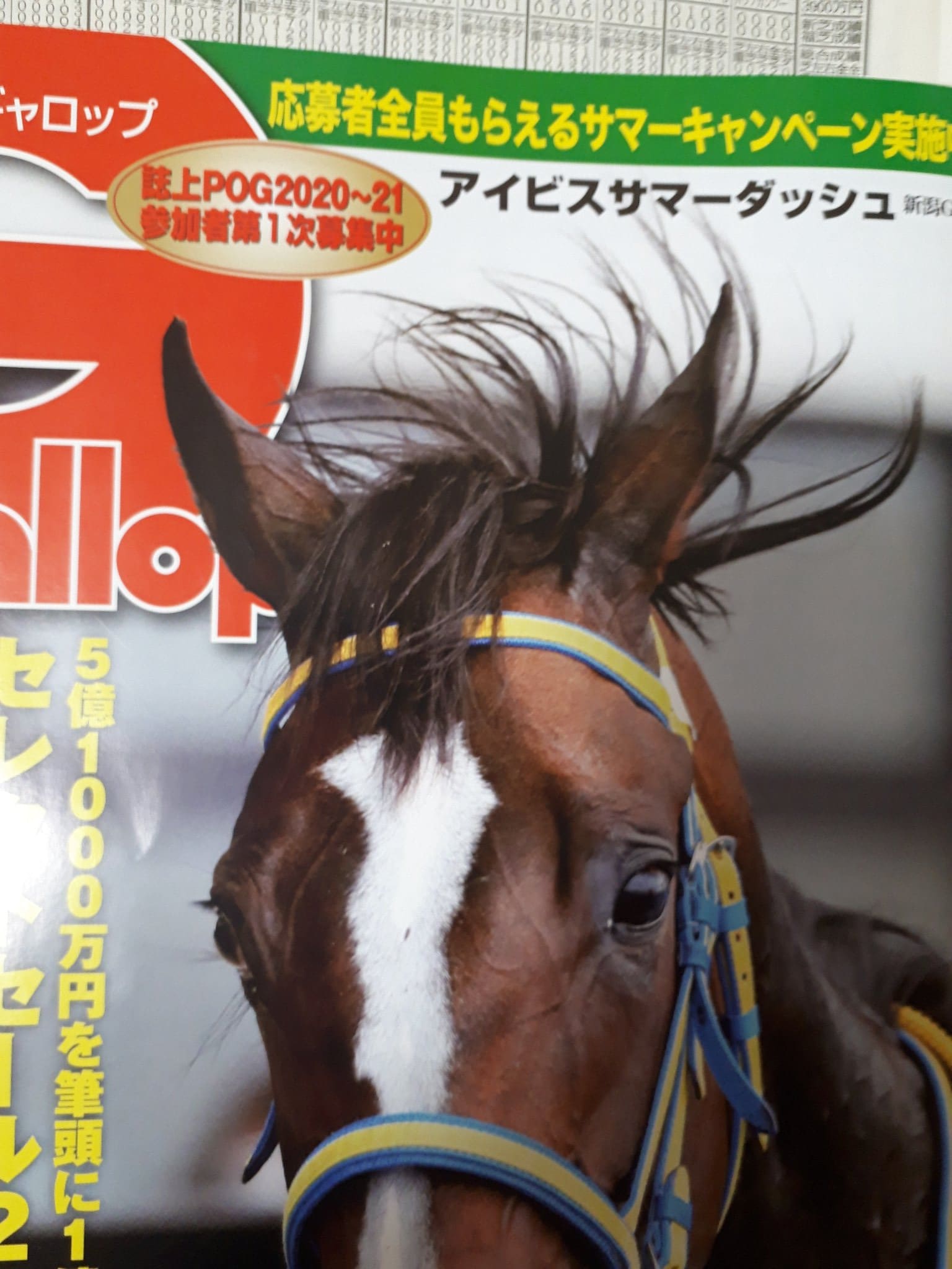 雑誌 ギャロップ