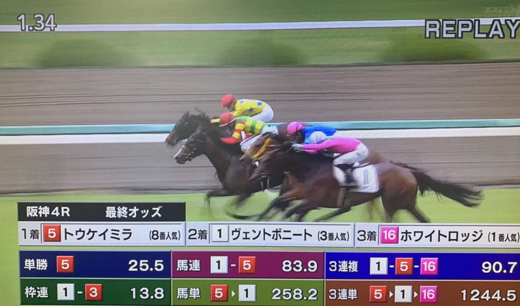 阪神競馬 リプレイ