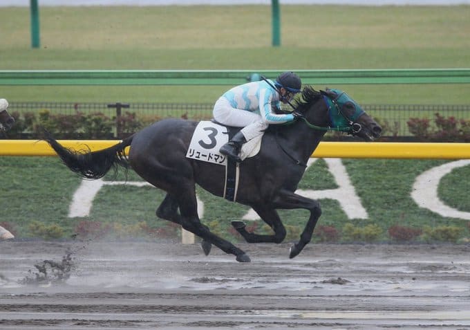 複勝で効率的に稼ぐ 複勝の回収率を上げる3つの方法 当たる競馬予想サイト