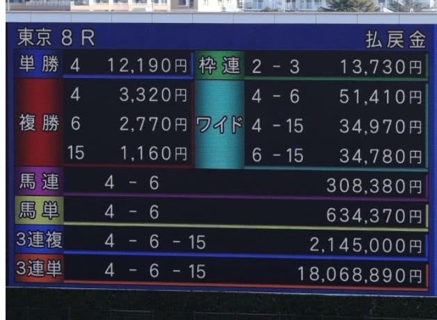 競馬 ターフビジョン 払い戻し