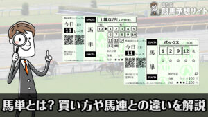 【競馬】馬単とは？馬連との違いや最強の買い方講座