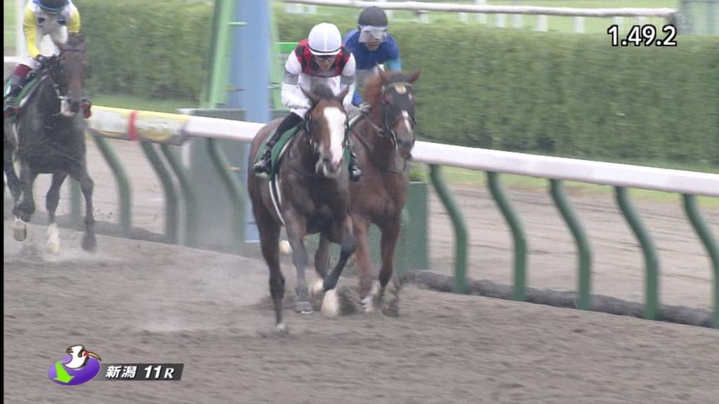 競馬の単勝で勝つ 平均配当や単勝を的中させるための3つの方法 当たる競馬予想サイト