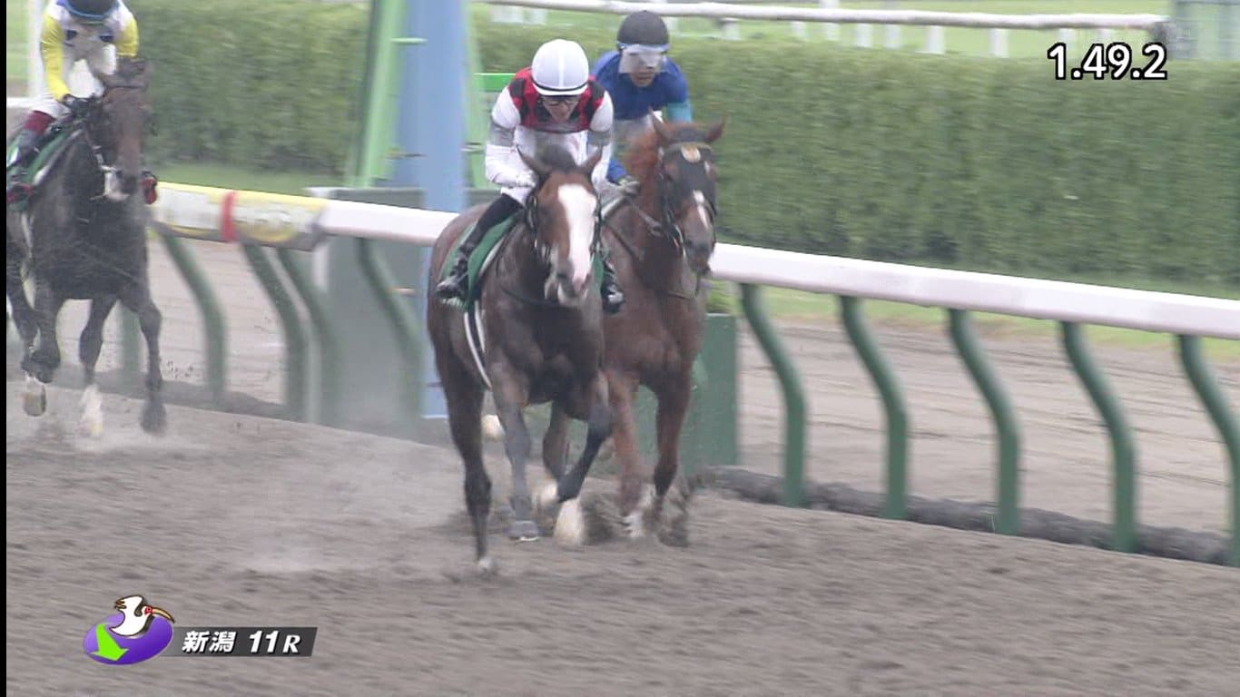 競馬の単勝で勝つ 平均配当や単勝を的中させるための3つの方法 当たる競馬予想サイト
