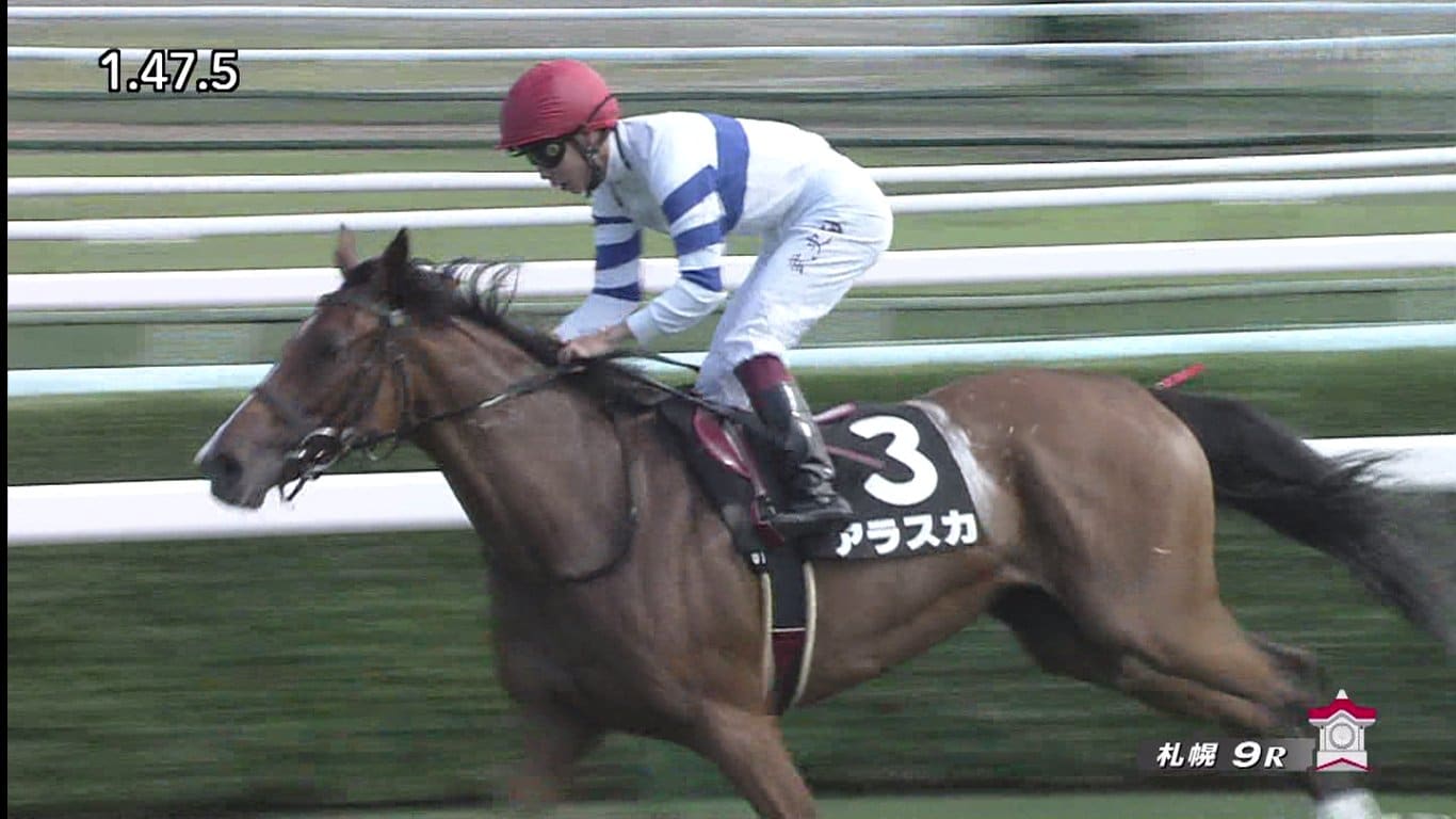 札幌競馬 競走馬