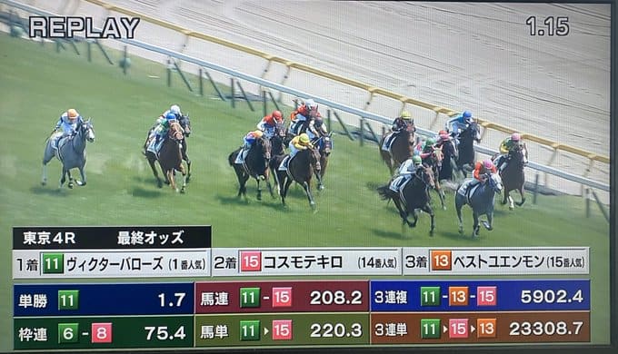東京競馬 リプレイ