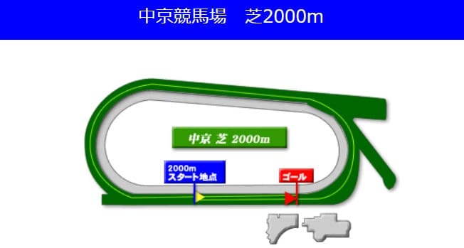 中京競馬場芝2000mの予想ポイント