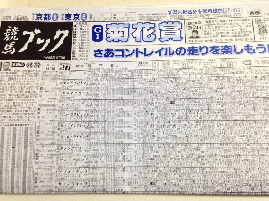 菊花賞 競馬ブック