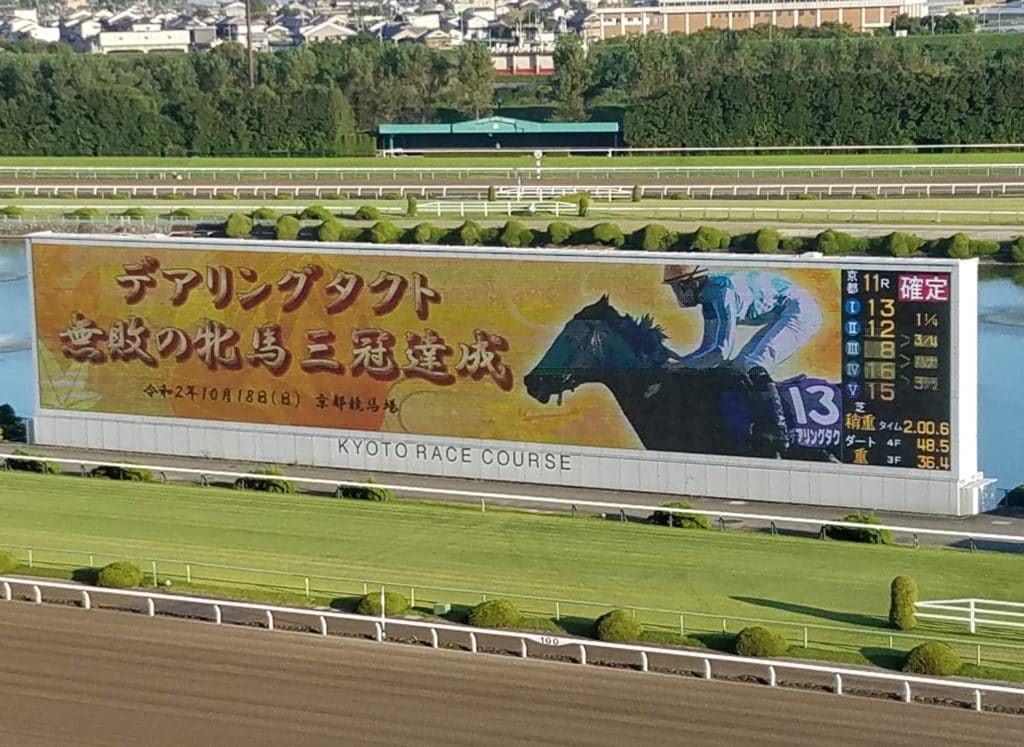 京都競馬 ターフビジョン
