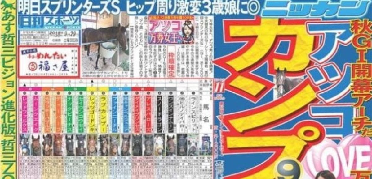 日刊スポーツ競馬のコンピ予想って当たるの？回収率や見る方法を紹介 当たる競馬予想サイト