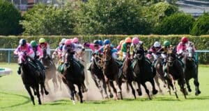競馬ってギャンブルじゃないの？～投資競馬～