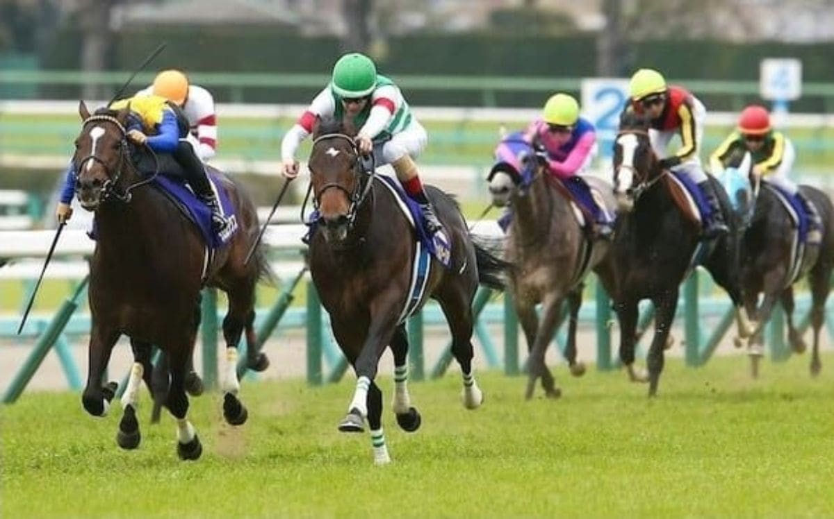 競馬 馬券のネット購入は超簡単 おすすめは 即pat 当たる競馬予想サイト