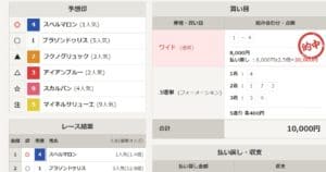 ネット競馬 地方