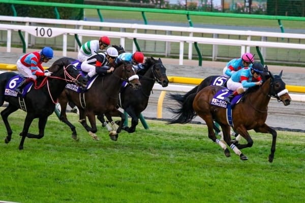 競馬初心者にこそ読んで欲しい なんjスレまとめ 楽しく競馬を理解できる人気のスレ５選 当たる競馬予想サイト