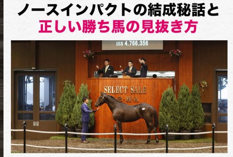 競馬予想サイト ノースインパクト