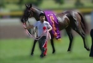 新潟ジャンプステークス