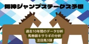 阪神ジャンプステークスの予想と展望【2022年版】ホッコーメヴィウスここを勝って障害トップ馬へ！