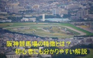 阪神競馬場の特徴！初心者向けの解説と抑えておくべき3つのポイント