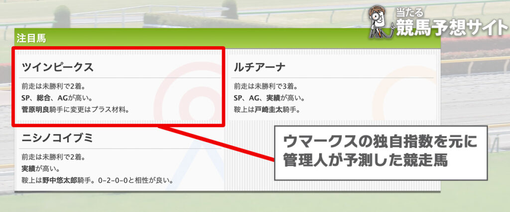 ウマークス 注目馬の見方