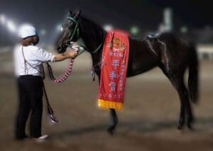 平和賞優勝馬
