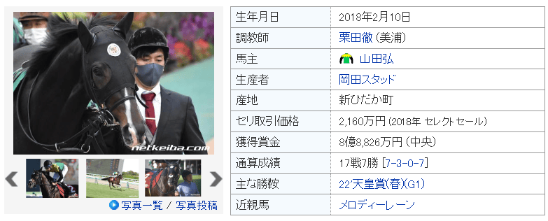 ネット競馬スクリーンショットタイトルホルダー