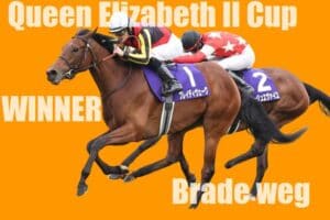 エリザベス女王杯優勝馬ブレイディヴェーグ