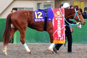 東京2歳優駿牝馬