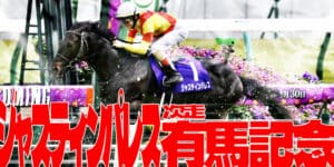 競馬初心者の賭け金は慣れるまでは100円で良い！