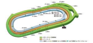 京都競馬場レースコース