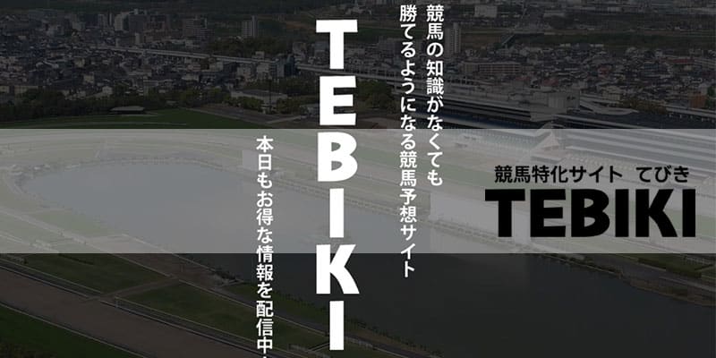 競馬予想サイトTEBIKIの検証記事のアイキャッチ
