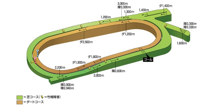 中京競馬場のコース画像