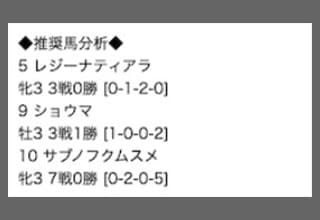 ドンピシャの無料予想