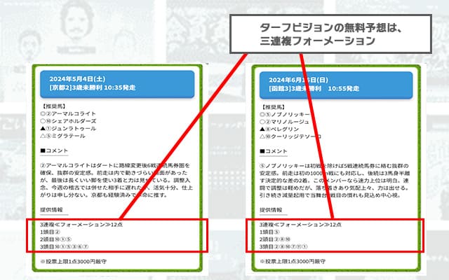 ターフビジョンの無料予想の買い目
