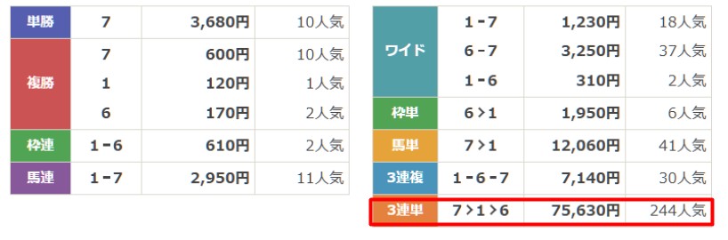 テキカク　馬体スキャナーZ　結果2