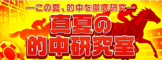 真夏の的中研究室