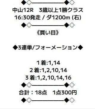 ニジュウマル　有料予想1