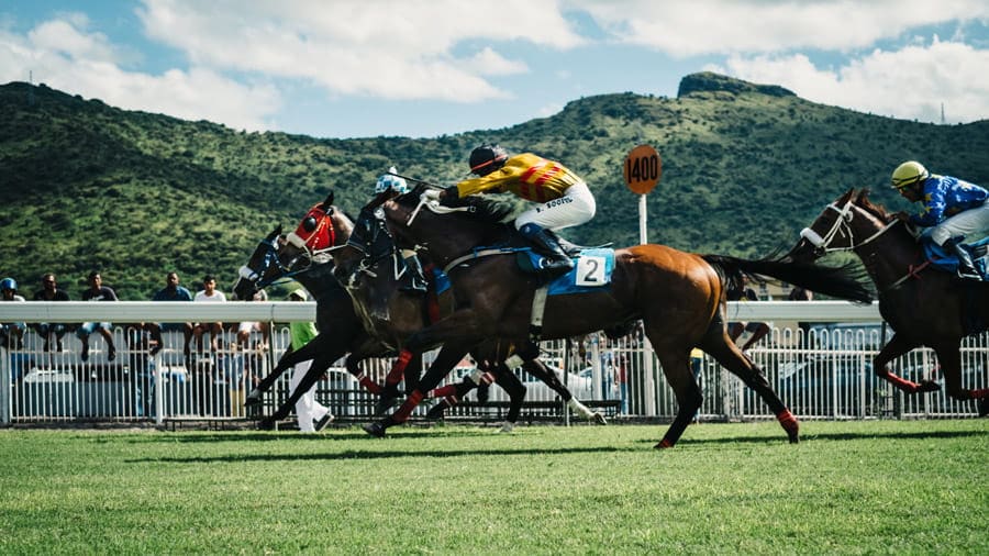 競馬 レース