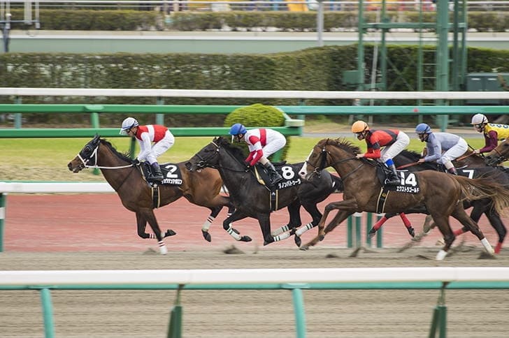 競馬